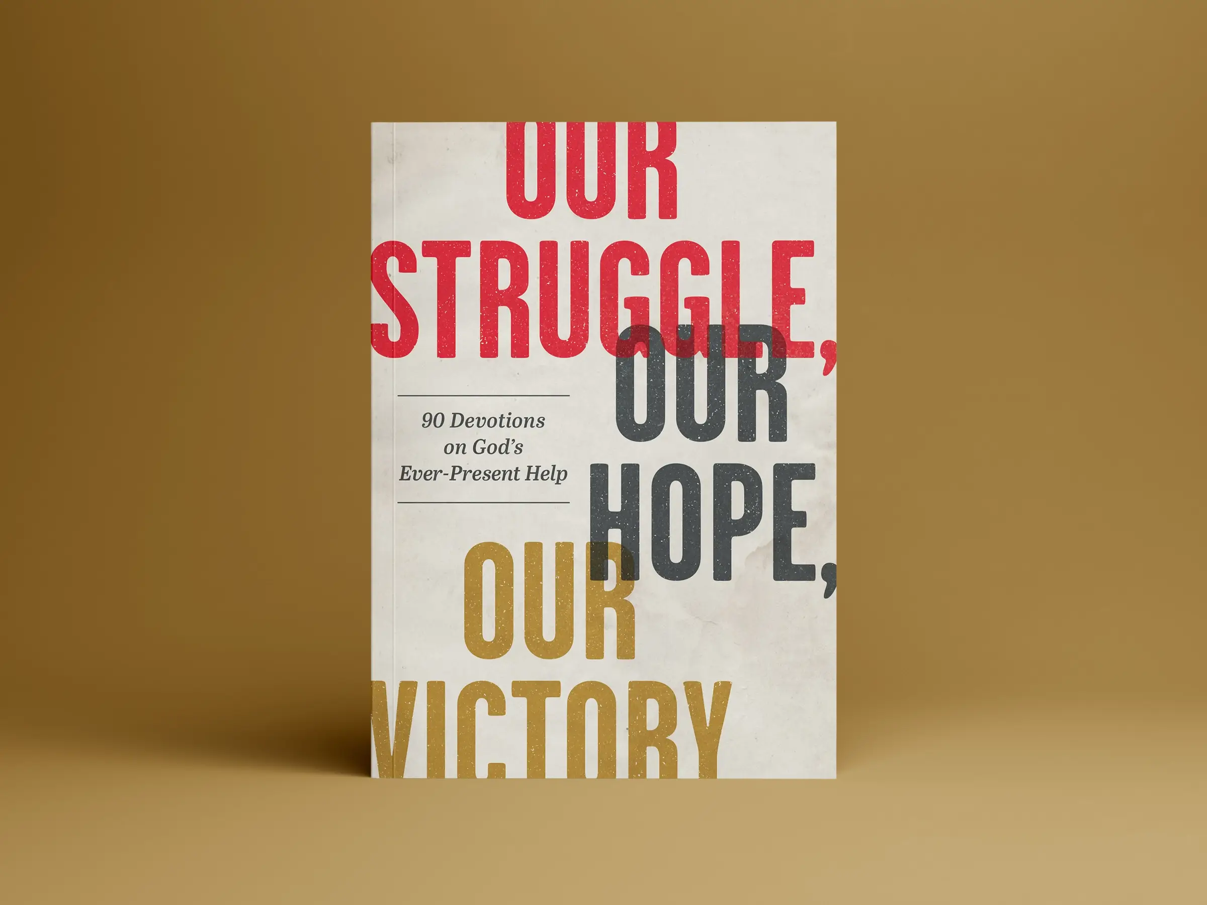 Our Struggle Our Hope Our Victory Book Cover