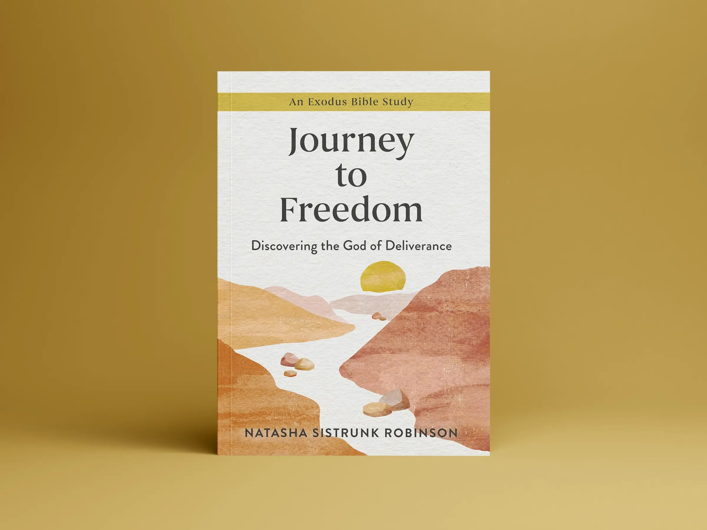 Journey to Freedom Book Cover
